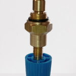 شیرپرکن لورچ