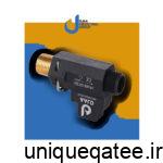 فلوسوییچ ساده اوجا