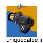 فلوسوییچ نافی دار اوجا