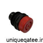 کلگی شیر اطمینان کوتاه